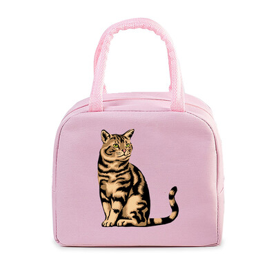 Geantă portabilă de prânz pentru pisici amuzante 3D, durabilă, pentru birou, femei, bărbați, cutie termică, genți de prânz cu desene animate, genți de prânz pentru alimente izolate.