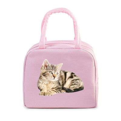 Geantă portabilă de prânz pentru pisici amuzante 3D, durabilă, pentru birou, femei, bărbați, cutie termică, genți de prânz cu desene animate, genți de prânz pentru alimente izolate.