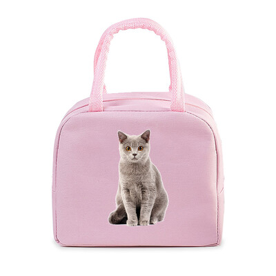 Geantă portabilă de prânz pentru pisici amuzante 3D, durabilă, pentru birou, femei, bărbați, cutie termică, genți de prânz cu desene animate, genți de prânz pentru alimente izolate.