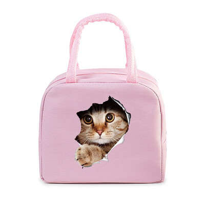 Geantă portabilă de prânz pentru pisici amuzante 3D, durabilă, pentru birou, femei, bărbați, cutie termică, genți de prânz cu desene animate, genți de prânz pentru alimente izolate.