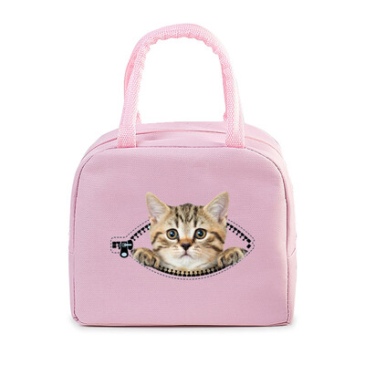 Geantă portabilă de prânz pentru pisici amuzante 3D, durabilă, pentru birou, femei, bărbați, cutie termică, genți de prânz cu desene animate, genți de prânz pentru alimente izolate.