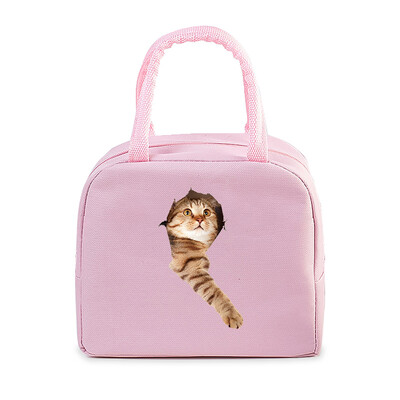 Geantă portabilă de prânz pentru pisici amuzante 3D, durabilă, pentru birou, femei, bărbați, cutie termică, genți de prânz cu desene animate, genți de prânz pentru alimente izolate.