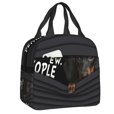 Geantă de prânz izolată cu model de câine de teckel de desene animate personalizate pentru femei, cutie de prânz termică, termoizolatoare, pentru plajă, camping, călătorie