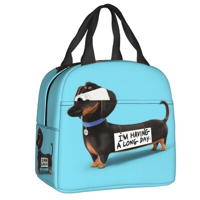 Geantă de prânz izolată cu model de câine de teckel de desene animate personalizate pentru femei, cutie de prânz termică, termoizolatoare, pentru plajă, camping, călătorie