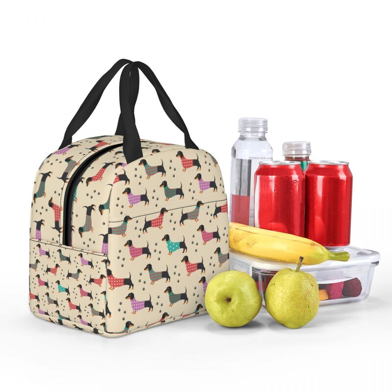 Geantă de prânz izolată cu model de câine de teckel de desene animate personalizate pentru femei, cutie de prânz termică, termoizolatoare, pentru plajă, camping, călătorie