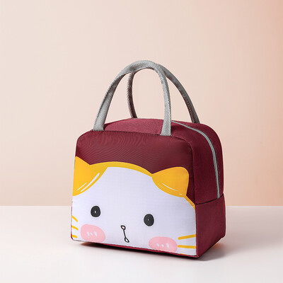 Genți de prânz termice portabile, drăguțe, cu desene animate, pentru copii, copii, picnic, bento, saci de depozitare izolatoare, pungi termice pentru ușă pentru alimente