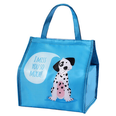 Карикатура Термична чанта за обяд Преносима изолирана чанта Bento Box Охладител Пакет с лед Пикник Контейнер за храна за жени Момиче Деца Ново пристигане