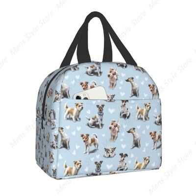 Jack Russelli terjer koerte söögikott jahuti, isoleeritud Bento kast naistele lastele kooli välisreisi kaasaskantavad lõunakarbid