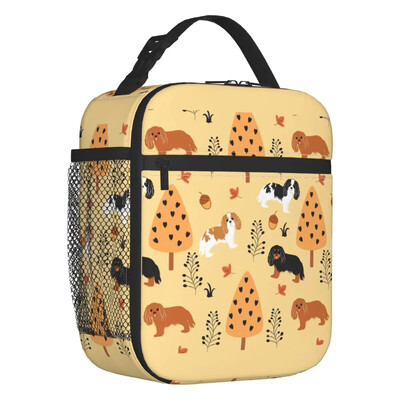 Персонализирана чанта за обяд на Кавалер Кинг Чарлз Шпаньол Дамски топлоизолирани кутии за обяд за деца, деца в училище