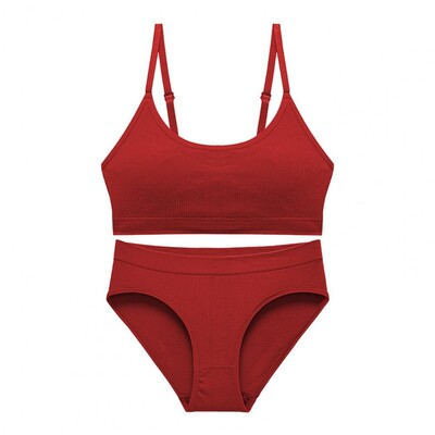 2Pcs/Set Komplet gaćica s grudnjakom Prekrasno sportsko donje rublje koje dodiruje kožu Čiste boje Komplet bešavnih gaćica s grudnjakom Dnevna odjeća