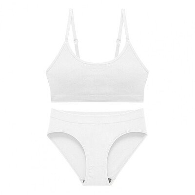 2Pcs/Set Komplet gaćica s grudnjakom Prekrasno sportsko donje rublje koje dodiruje kožu Čiste boje Komplet bešavnih gaćica s grudnjakom Dnevna odjeća