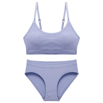 2Pcs/Set Komplet gaćica s grudnjakom Prekrasno sportsko donje rublje koje dodiruje kožu Čiste boje Komplet bešavnih gaćica s grudnjakom Dnevna odjeća