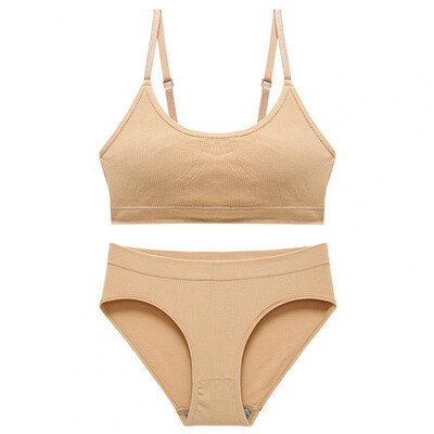 2Pcs/Set Komplet gaćica s grudnjakom Prekrasno sportsko donje rublje koje dodiruje kožu Čiste boje Komplet bešavnih gaćica s grudnjakom Dnevna odjeća