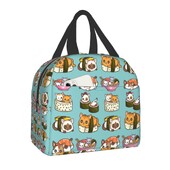 Anime japonez Mâncare Sushi Pisică Geantă de prânz Femei Copii Cutie de prânz izolată pentru școală de muncă Genți portabile Bento personalizate