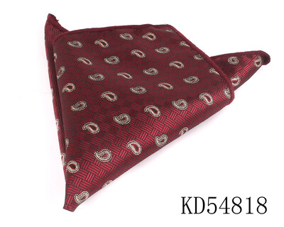 Novi prugasti džepni kvadrat za muškarce Peisley prsni ručnik Vjenčani rubac Džentlmenske maramice Muški rupčić Odijela Džepni ručnik