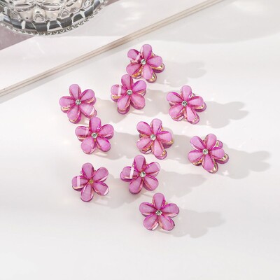 Molans 10 komada novih malih cvjetnih kandži za kosu, mala kopča za kosu, ženski dodaci za kosu