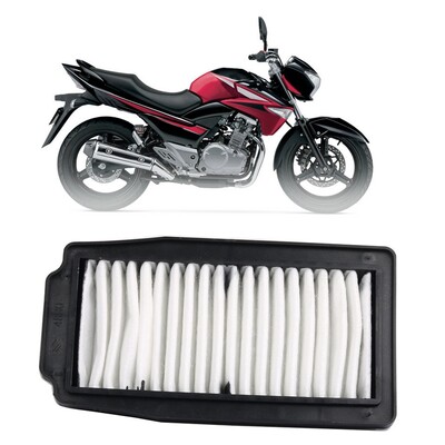 Elemente cartuș filtru de aer pentru motocicletă pentru Suzuki GW250 GW250F GSX250R DL250