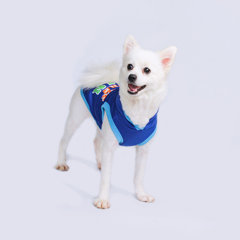 haine noi pentru câini europene și americane, hanorace ușoare de toamnă și iarnă, haine pentru animale de companie Teddy Bichon Pomeranian en-gros în stoc