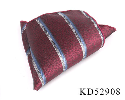 Veinitasku ruut meestele Paisley rinnarätik pulmarätik Härrased Hankies meeste taskurätik triibuline taskurätik