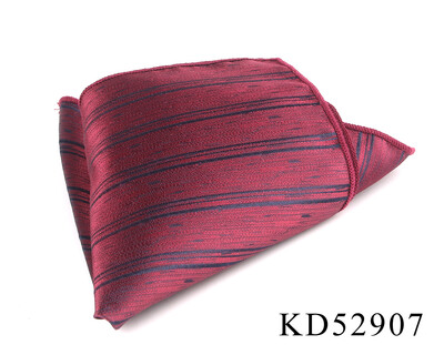 Veinitasku ruut meestele Paisley rinnarätik pulmarätik Härrased Hankies meeste taskurätik triibuline taskurätik