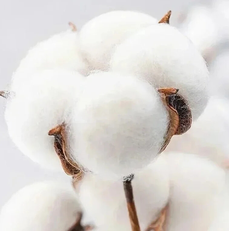 Jacquemus USA City Hanorace unisex Moda Harajuku Pulover cu glugă Îmbrăcăminte sportivă Hanorace grafice imprimate cu litere lejer Casual