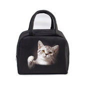 Cartoon 3D Cat Print Femei Bărbați Geantă de prânz Moda Animale Pisicuțe Genți portabile termoizolante Copii de școală Geantă de mână cu alimente multifuncționale