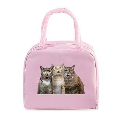 Cartoon 3D Cat Print Femei Bărbați Geantă de prânz Moda Animale Pisicuțe Genți portabile termoizolante Copii de școală Geantă de mână cu alimente multifuncționale