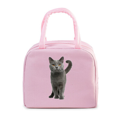 Cartoon 3D Cat Print Femei Bărbați Geantă de prânz Moda Animale Pisicuțe Genți portabile termoizolante Copii de școală Geantă de mână cu alimente multifuncționale