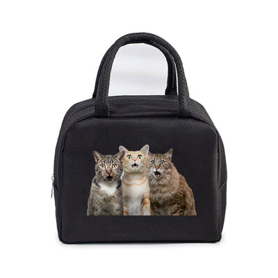 Cartoon 3D Cat Print Femei Bărbați Geantă de prânz Moda Animale Pisicuțe Genți portabile termoizolante Copii de școală Geantă de mână cu alimente multifuncționale