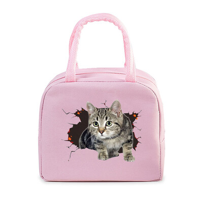 Cartoon 3D Cat Print Femei Bărbați Geantă de prânz Moda Animale Pisicuțe Genți portabile termoizolante Copii de școală Geantă de mână cu alimente multifuncționale