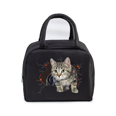Cartoon 3D Cat Print Femei Bărbați Geantă de prânz Moda Animale Pisicuțe Genți portabile termoizolante Copii de școală Geantă de mână cu alimente multifuncționale