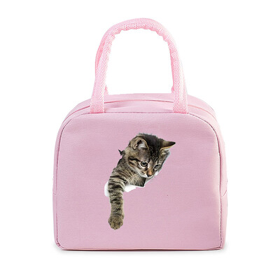 Cartoon 3D Cat Print Femei Bărbați Geantă de prânz Moda Animale Pisicuțe Genți portabile termoizolante Copii de școală Geantă de mână cu alimente multifuncționale