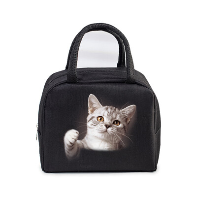 Cartoon 3D Cat Print Femei Bărbați Geantă de prânz Moda Animale Pisicuțe Genți portabile termoizolante Copii de școală Geantă de mână cu alimente multifuncționale