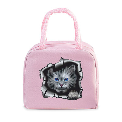 Cartoon 3D Cat Print Femei Bărbați Geantă de prânz Moda Animale Pisicuțe Genți portabile termoizolante Copii de școală Geantă de mână cu alimente multifuncționale