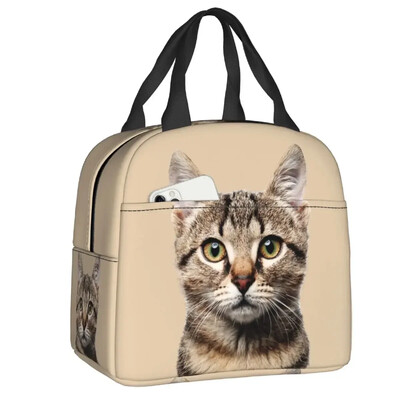 Geantă de prânz cu pisică scoțiană drăguță care se uită cu privirea, cutie de prânz termoizolantă pentru picnic, termoizolantă, termică, pentru femei, copii, container