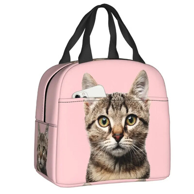 Geantă de prânz cu pisică scoțiană drăguță care se uită cu privirea, cutie de prânz termoizolantă pentru picnic, termoizolantă, termică, pentru femei, copii, container