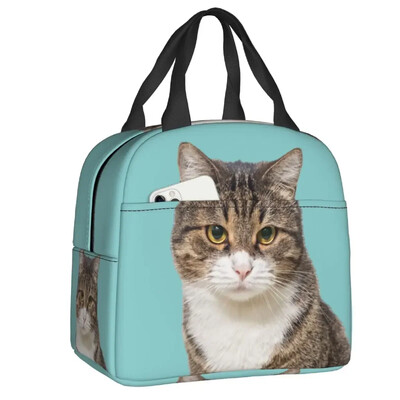 Geantă de prânz cu pisică scoțiană drăguță care se uită cu privirea, cutie de prânz termoizolantă pentru picnic, termoizolantă, termică, pentru femei, copii, container