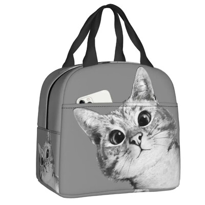 Geantă de prânz cu pisică scoțiană drăguță care se uită cu privirea, cutie de prânz termoizolantă pentru picnic, termoizolantă, termică, pentru femei, copii, container