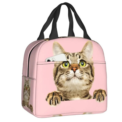 Geantă de prânz cu pisică scoțiană drăguță care se uită cu privirea, cutie de prânz termoizolantă pentru picnic, termoizolantă, termică, pentru femei, copii, container