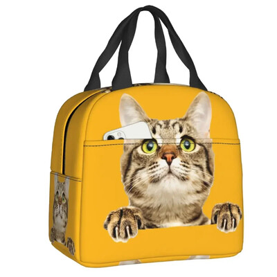Geantă de prânz cu pisică scoțiană drăguță care se uită cu privirea, cutie de prânz termoizolantă pentru picnic, termoizolantă, termică, pentru femei, copii, container