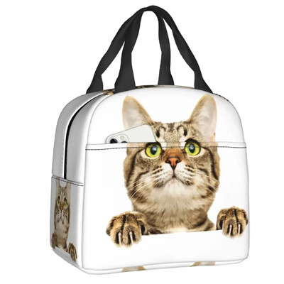 Geantă de prânz cu pisică scoțiană drăguță care se uită cu privirea, cutie de prânz termoizolantă pentru picnic, termoizolantă, termică, pentru femei, copii, container