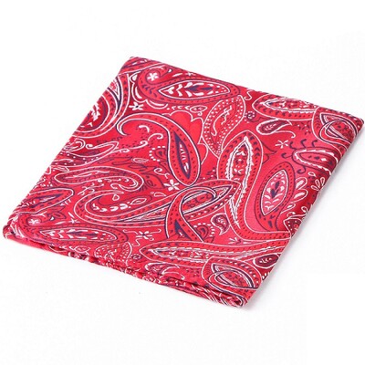 Tailor Smith muški rupčić Hanky Man Paisley cvjetni jacquard tkani džepni kvadrat Poslovni dodaci za odijelo za vjenčanje