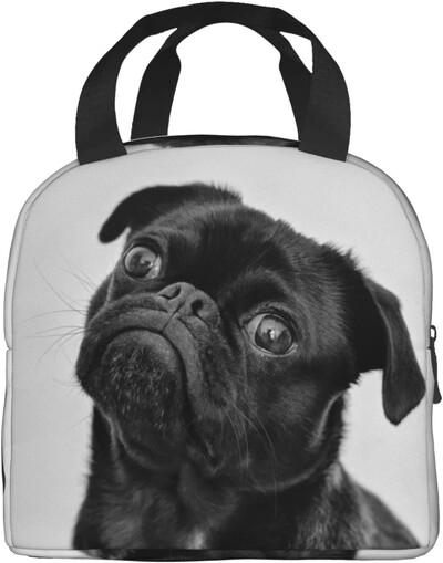 Geantă de prânz Cutie de prânz pentru câini drăguț, geantă izolată, pentru bărbați/femei, călătorii de muncă