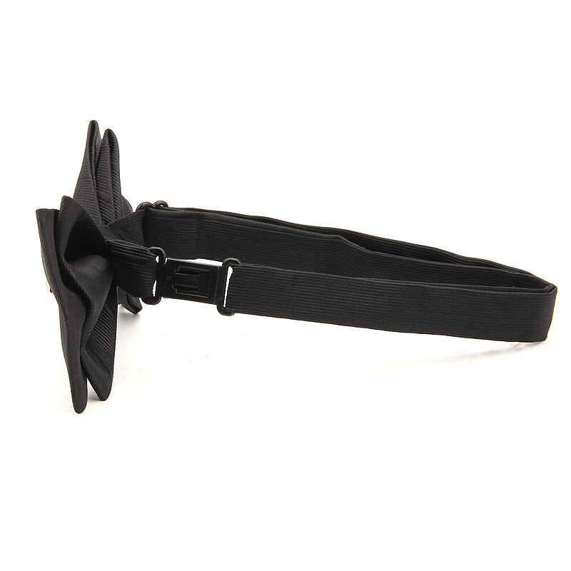 Visokokvalitetne muške prugaste metalne leptir mašne Svečanost vjenčanja Banket Leptir u korejskom stilu Mornarsko crvena mašna Dodaci za mladoženje