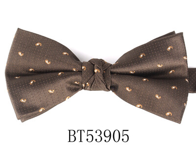 Jacquard Meeste Kikilips Pulma Lilleline kikilips Meestele Naistele Täiskasvanutele Paisley Kikilips Kravatid Peigmehed Kikilips Kingitused Peigmehele Kikilips