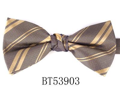 Jacquard Meeste Kikilips Pulma Lilleline kikilips Meestele Naistele Täiskasvanutele Paisley Kikilips Kravatid Peigmehed Kikilips Kingitused Peigmehele Kikilips