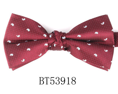 Jacquard Meeste Kikilips Pulma Lilleline kikilips Meestele Naistele Täiskasvanutele Paisley Kikilips Kravatid Peigmehed Kikilips Kingitused Peigmehele Kikilips