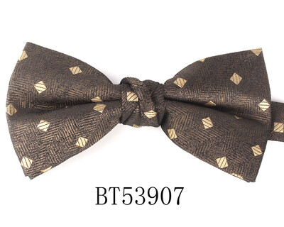 Jacquard Meeste Kikilips Pulma Lilleline kikilips Meestele Naistele Täiskasvanutele Paisley Kikilips Kravatid Peigmehed Kikilips Kingitused Peigmehele Kikilips