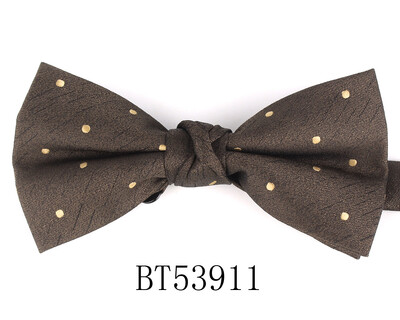 Jacquard Meeste Kikilips Pulma Lilleline kikilips Meestele Naistele Täiskasvanutele Paisley Kikilips Kravatid Peigmehed Kikilips Kingitused Peigmehele Kikilips