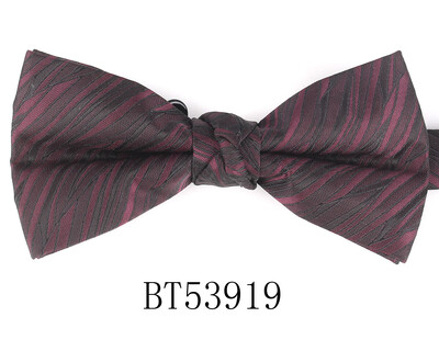 Jacquard Meeste Kikilips Pulma Lilleline kikilips Meestele Naistele Täiskasvanutele Paisley Kikilips Kravatid Peigmehed Kikilips Kingitused Peigmehele Kikilips